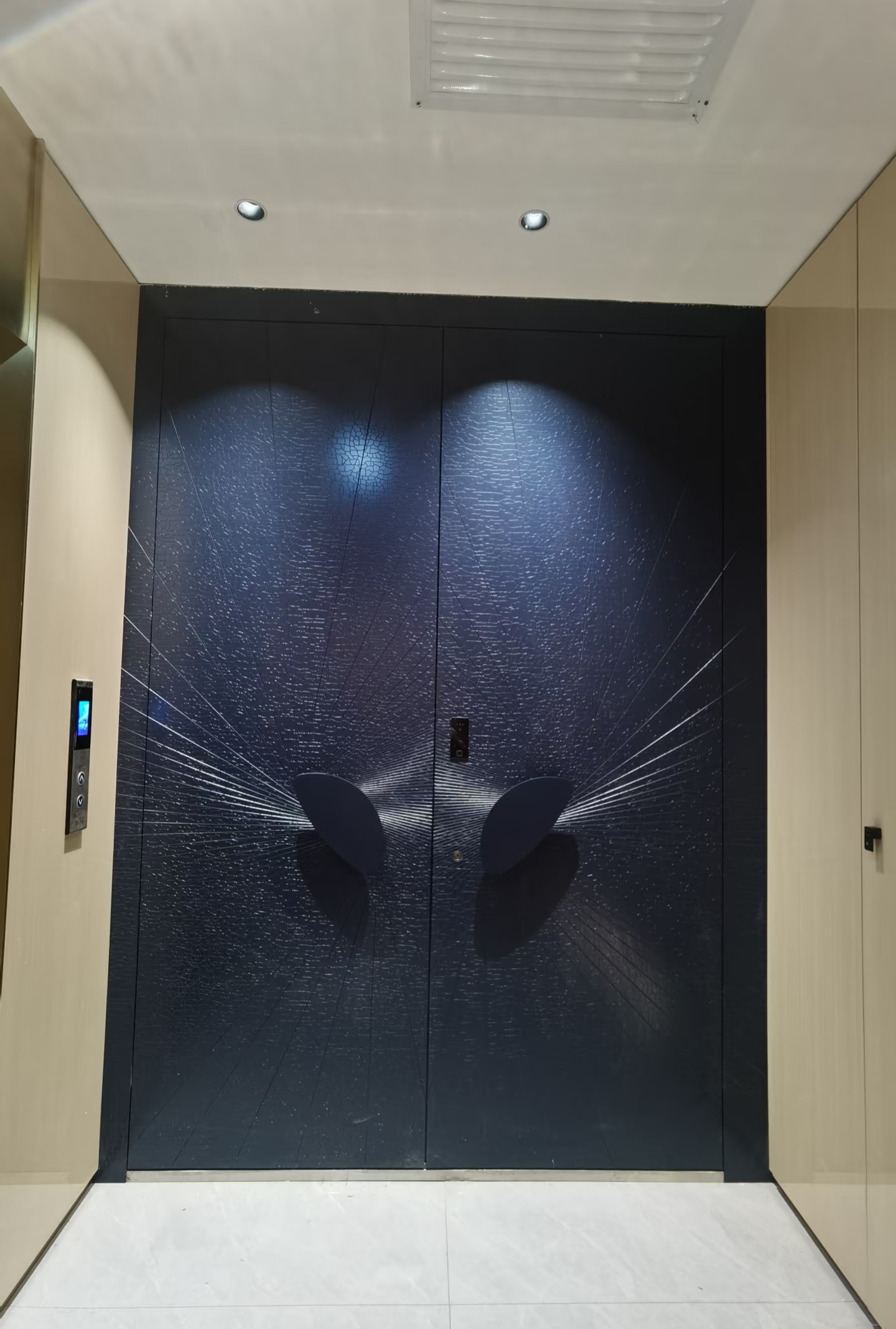 TINNO 星光放射入户门｜以艺术肌理，演绎当代奢雅入户美学