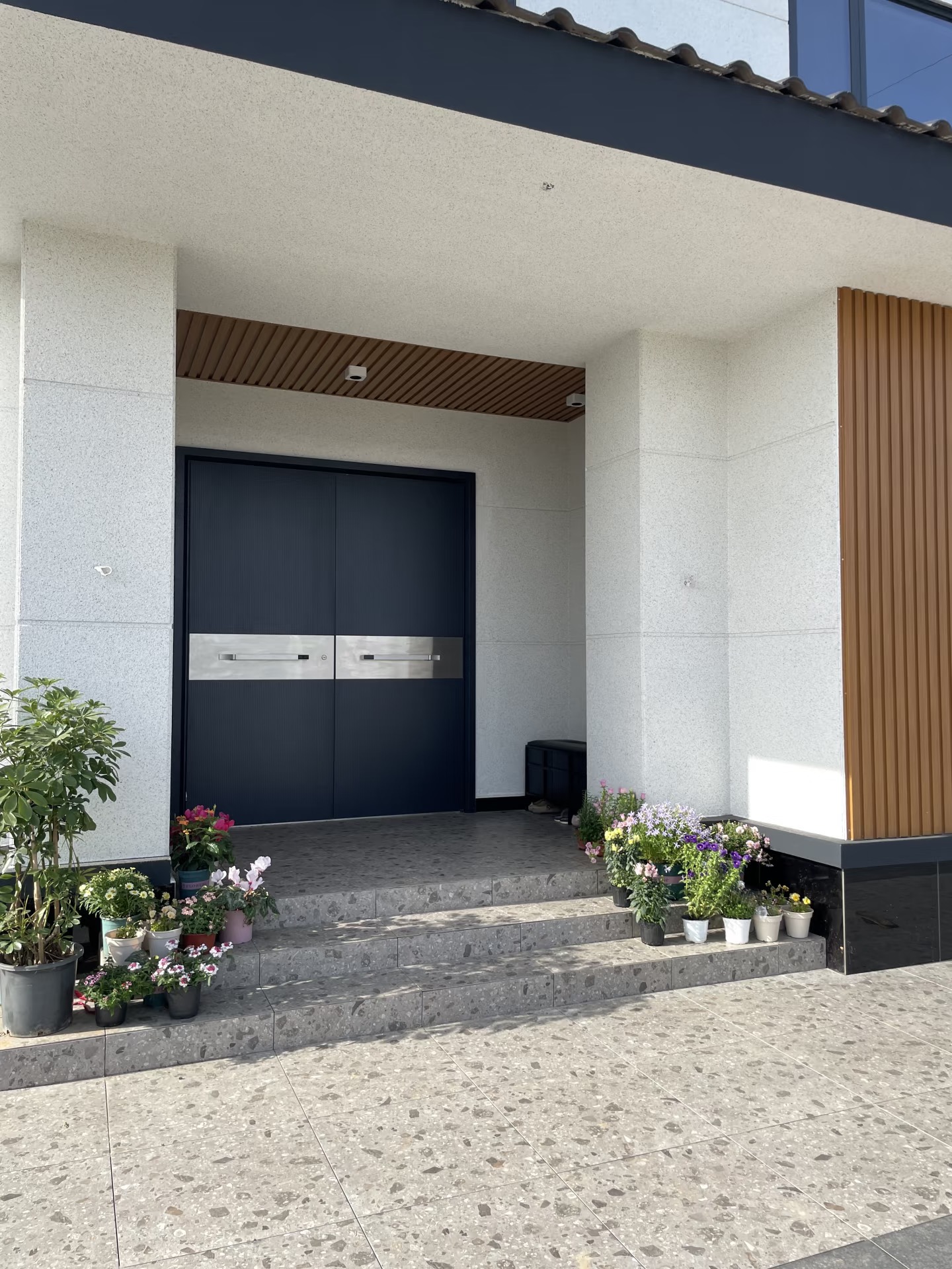 TINNO 竖纹金属饰条双开系统入户门 现代极简别墅自建房入户